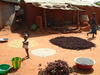 Séchage de Bissap dans un petit village, Burkina Faso © Cirad, D. Berthier
